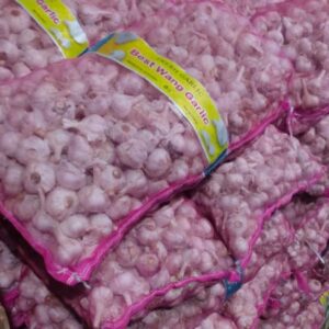 Bawang Putih Kating