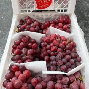 Anggur Merah Citra