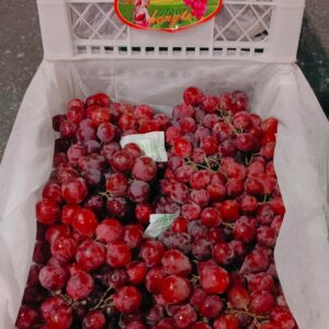 Anggur Merah Hongti