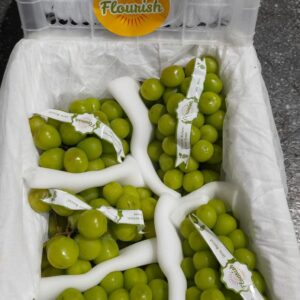 Anngur Muscat Flourish