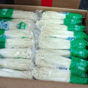 Jamur Enoki Apolo Hijau Promo