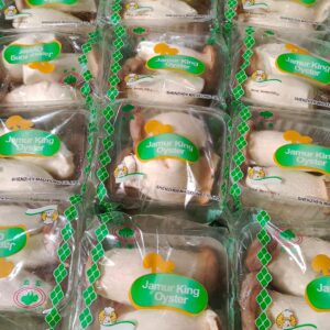 Jamur King Oyster