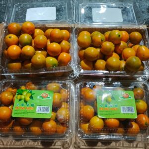 Jeruk Kimkit