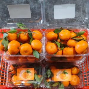 Santang Tangerine