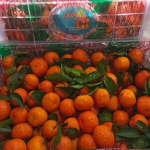 Santang Tangerine