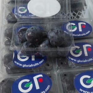 Black Plum