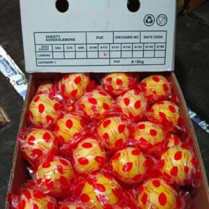 Lemon 113