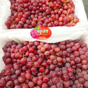 Anggur Merah China Red Grape