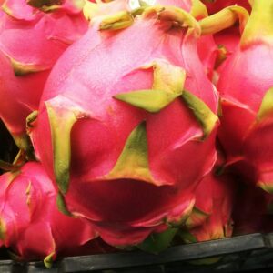 Buah Naga
